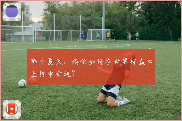 那个夏天，我们如何在世界杯盘口上押中奇迹？