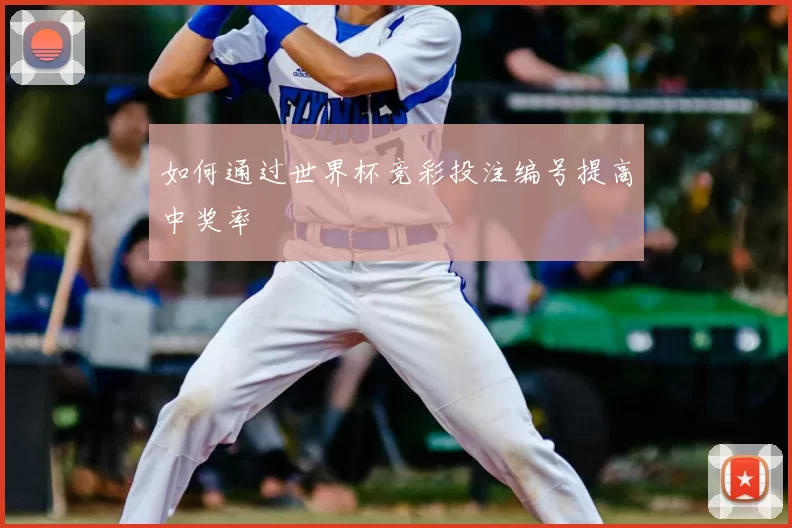 如何通过世界杯竞彩投注编号提高中奖率