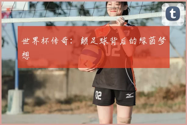 世界杯传奇：颠足球背后的绿茵梦想