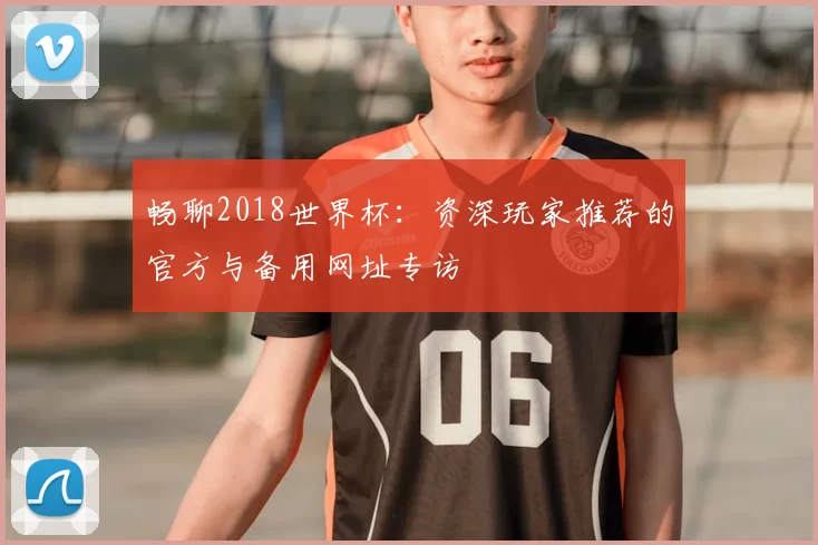 畅聊2018世界杯：资深玩家推荐的官方与备用网址专访