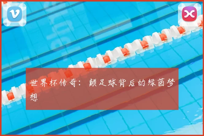 世界杯传奇：颠足球背后的绿茵梦想