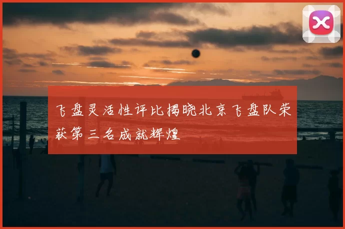 飞盘灵活性评比揭晓北京飞盘队荣获第三名成就辉煌