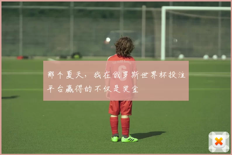 那个夏天,我在俄罗斯世界杯投注平台赢得的不仅是奖金