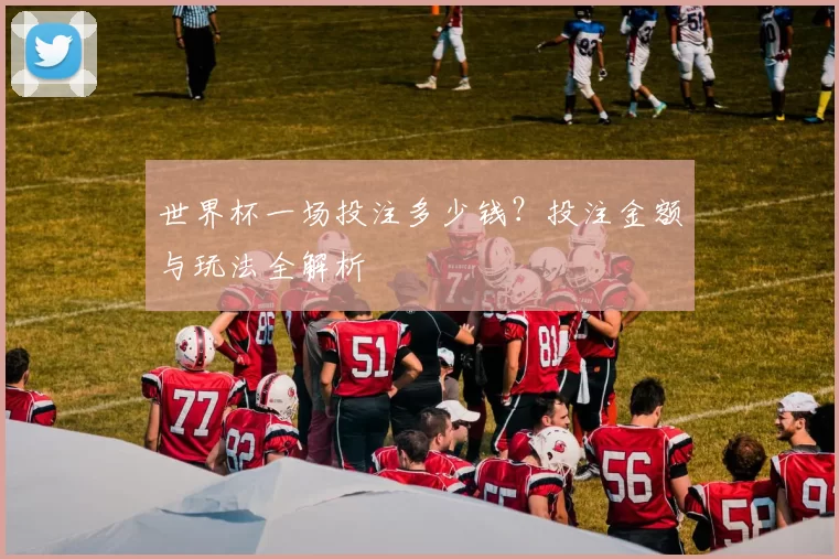 世界杯一场投注多少钱？投注金额与玩法全解析