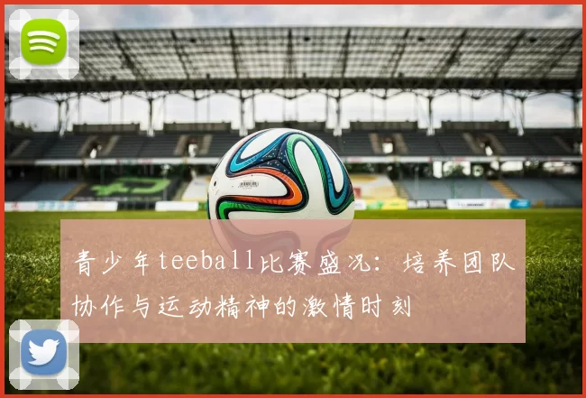 青少年teeball比赛盛况：培养团队协作与运动精神的激情时刻