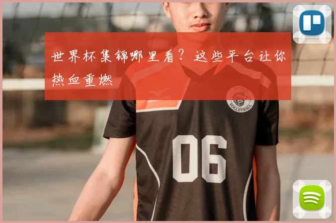 世界杯集锦哪里看？这些平台让你热血重燃