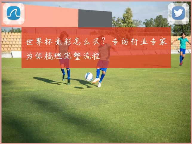 世界杯竞彩怎么买？专访行业专家为你梳理完整流程