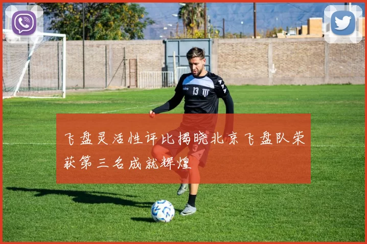 飞盘灵活性评比揭晓北京飞盘队荣获第三名成就辉煌
