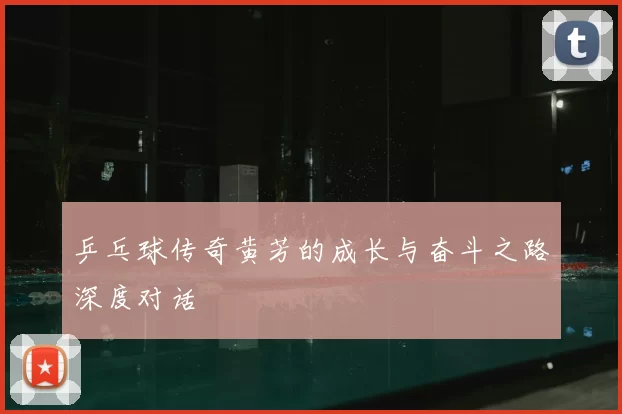 乒乓球传奇黄芳的成长与奋斗之路深度对话