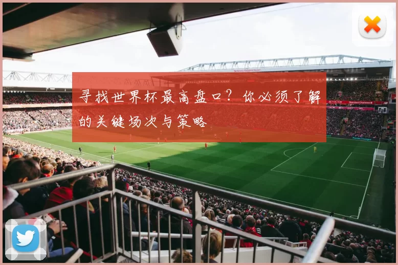寻找世界杯最高盘口？你必须了解的关键场次与策略