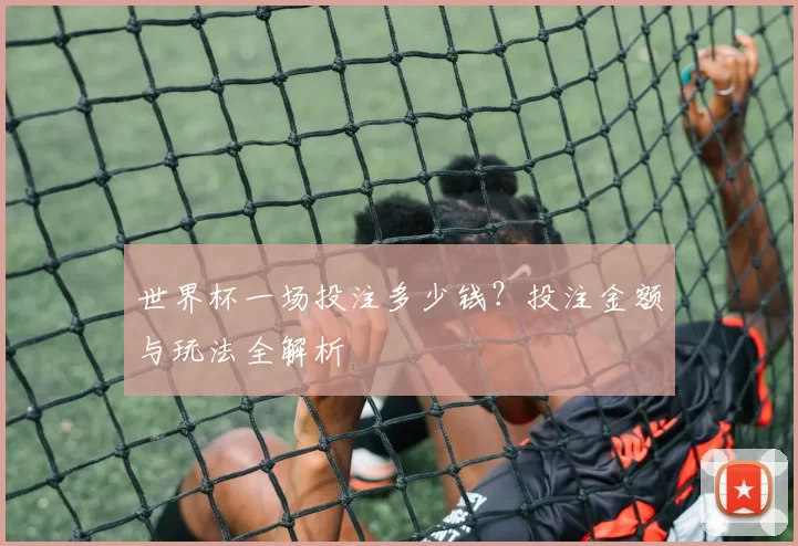 世界杯一场投注多少钱?投注金额与玩法全解析