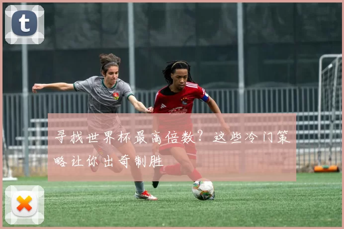 寻找世界杯最高倍数？这些冷门策略让你出奇制胜