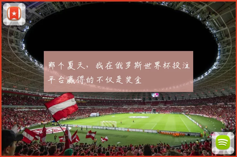 那个夏天，我在俄罗斯世界杯投注平台赢得的不仅是奖金