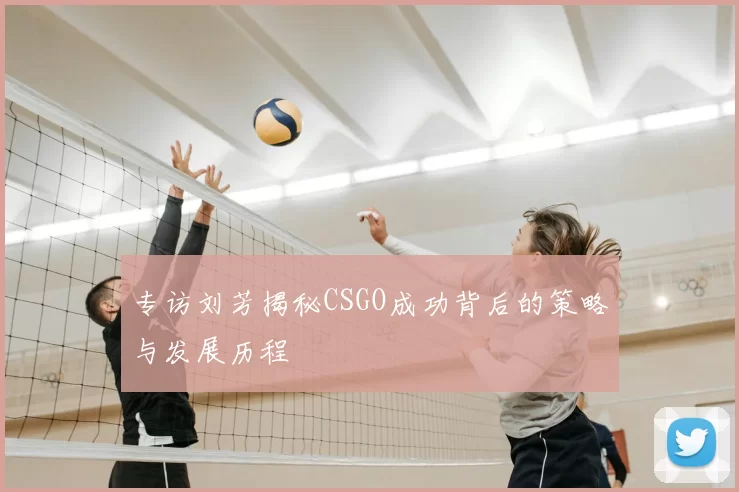 专访刘芳揭秘CSGO成功背后的策略与发展历程