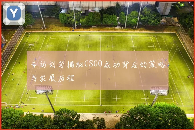 专访刘芳揭秘CSGO成功背后的策略与发展历程