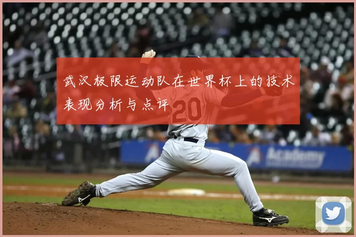 武汉极限运动队在世界杯上的技术表现分析与点评